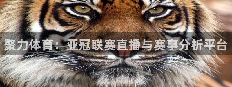 24直播体育免费直播：聚力体育：亚冠联赛直播与赛事分析平台