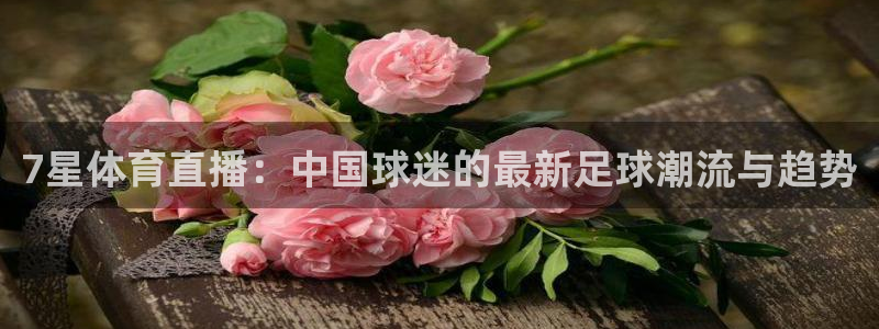 24直播网篮球：7星体育直播：中国球迷的最新足球潮流与趋势