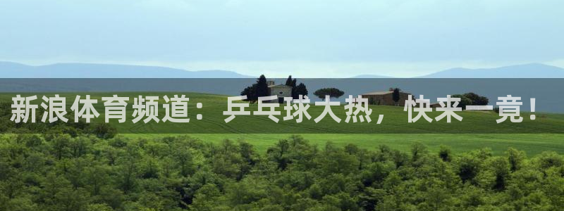 24直播网足球免费直播：新浪体育频道：乒乓球大热，快来一竟！
