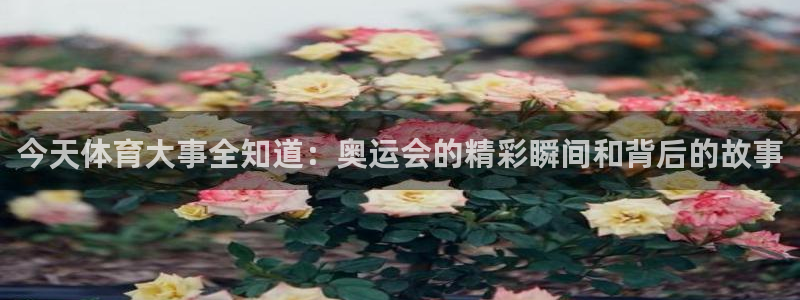 足球比赛直播24直播：今天体育大事全知道：奥运会的精彩瞬间和背后的故事
