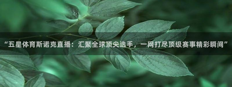24直播网app下载：“五星体育斯诺克直播：汇聚全球顶尖选手，一网打尽顶级赛事精彩瞬间”