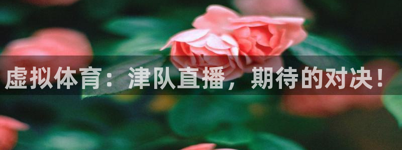 24直播免费足球直播高清：虚拟体育：津队直播，期待的对决！