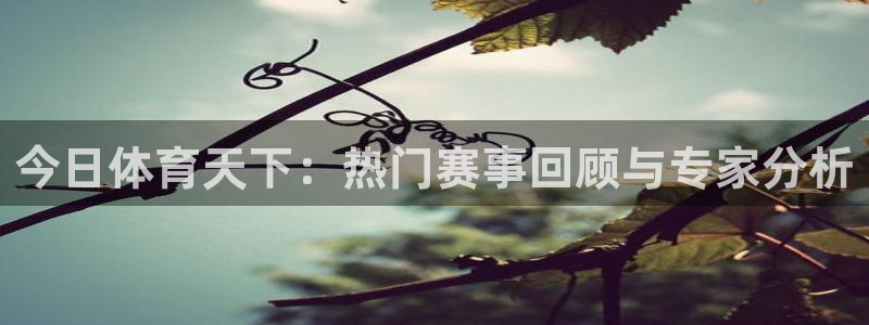 24直播网app下载：今日体育天下：热门赛事回顾与专家分析