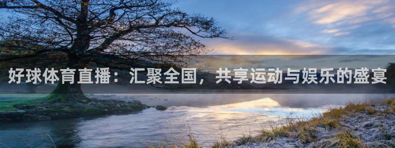 24直播 nba：好球体育直播：汇聚全国，共享运动与娱乐的盛宴