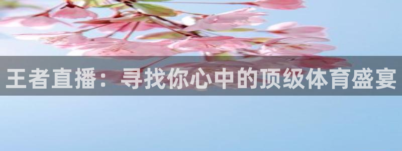 24直播平台：王者直播：寻找你心中的顶级体育盛宴