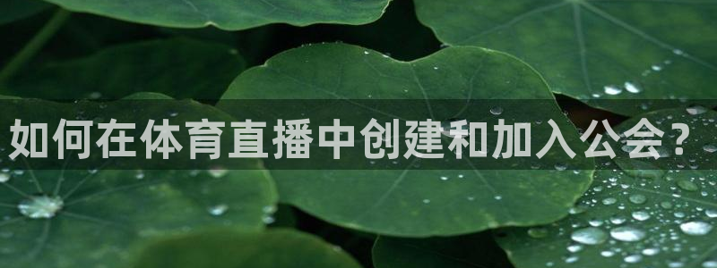 24直播网：如何在体育直播中创建和加入公会？