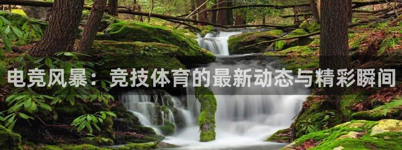 24直播：电竞风暴：竞技体育的最新动态与精彩瞬间