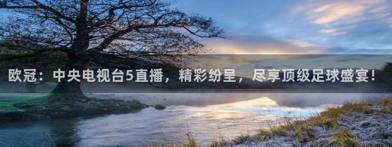 24直播网nba直播吧,足球直播五大联赛：欧冠：中央电视台5直播，精彩纷呈，尽享顶级足球盛宴！