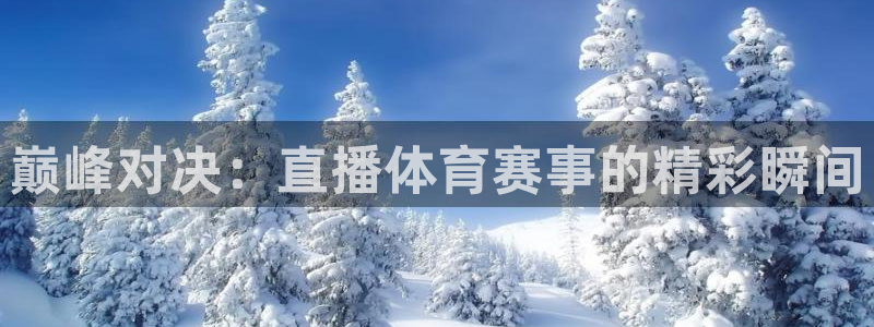 24直播网nba直播：巅峰对决：直播体育赛事的精彩瞬间